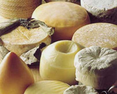 Cheese Tasting in Madrid Tutored Spanish cheese tasting session paired with selected wines. At a specialized store in the centre of Madrid. Privately organized, starting from 2 people