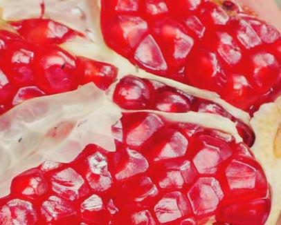 Flavors of Andalusia