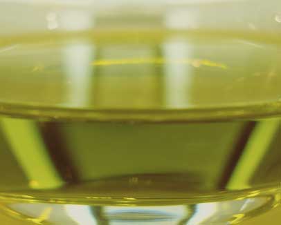 Olive Oil Tasting and Lunch in Seville Tutored olive oil tasting at a specialized shop in the center of Seville, followed by tapas paired with different olive oils. Privately organized, starting from 2 people